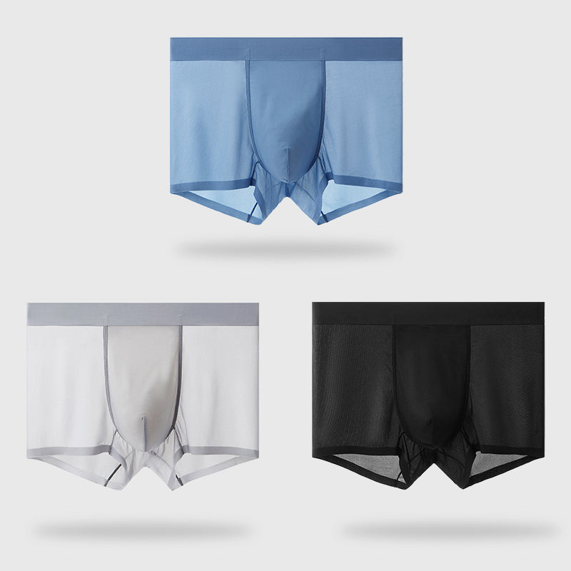 Men's Underwear Ice Silk 3d Pouch Boxer Briefs Ultra-thin